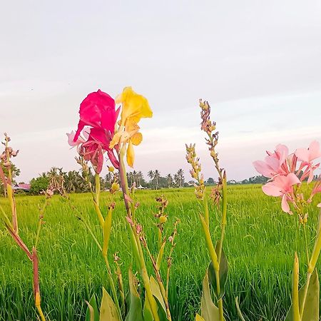 Kurau Inn Farmstay Kuala Kurau المظهر الخارجي الصورة