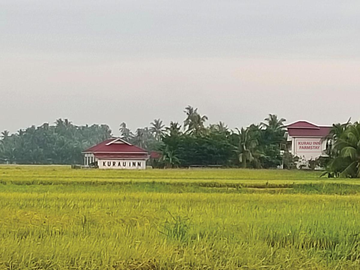 Kurau Inn Farmstay Kuala Kurau المظهر الخارجي الصورة