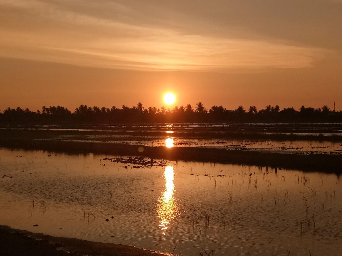 Kurau Inn Farmstay Kuala Kurau المظهر الخارجي الصورة